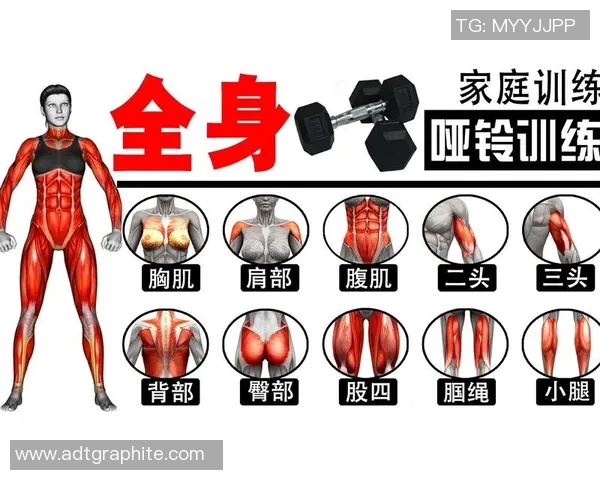哑铃全身健身方法详解助你塑造完美身材的科学训练计划